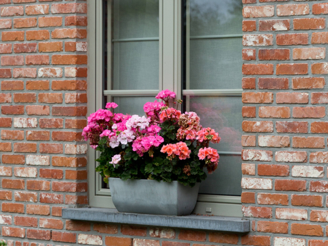 <h1>Aluminium kozijnen</h1>